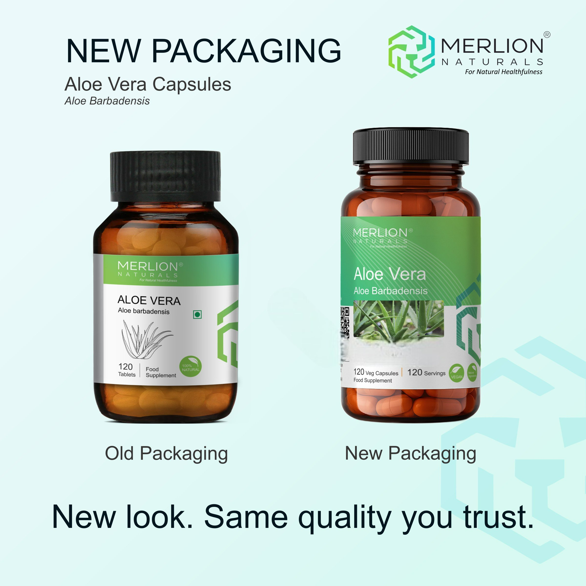 Merlion Naturals Aloe Vera 100mg Capsules | Grocsy