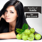 Nuerma Science Amla Powder for Healthy Skin & Hair | Grocsy