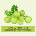 Nuerma Science Amla Powder for Healthy Skin & Hair | Grocsy