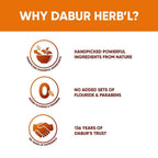Dabur Herb'l Clove - Cavity Protection Toothpaste | Grocsy