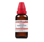 Dr. Willmar Schwabe India Calcarea hypophosphorosa Dilution | Grocsy