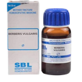 SBL Homeopathy Berberis Vulgaris Mother Tincture Q | Grocsy