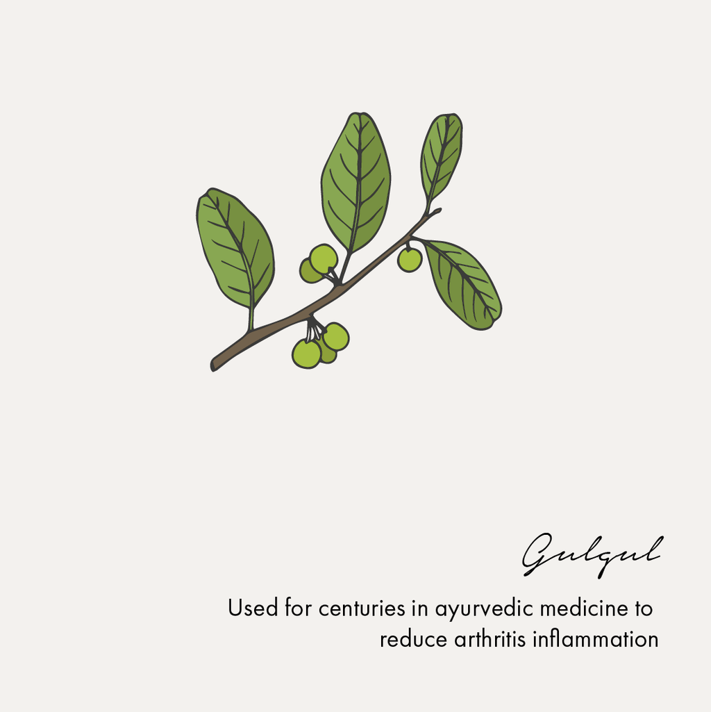 Birdsong Pain Relief Oil | Grocsy