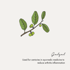 Birdsong Pain Relief Oil | Grocsy