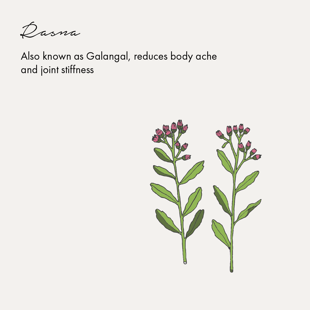 Birdsong Pain Relief Oil | Grocsy
