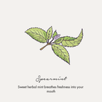 Birdsong Botanical Sea Salt and Spearmint Toothpaste | Grocsy