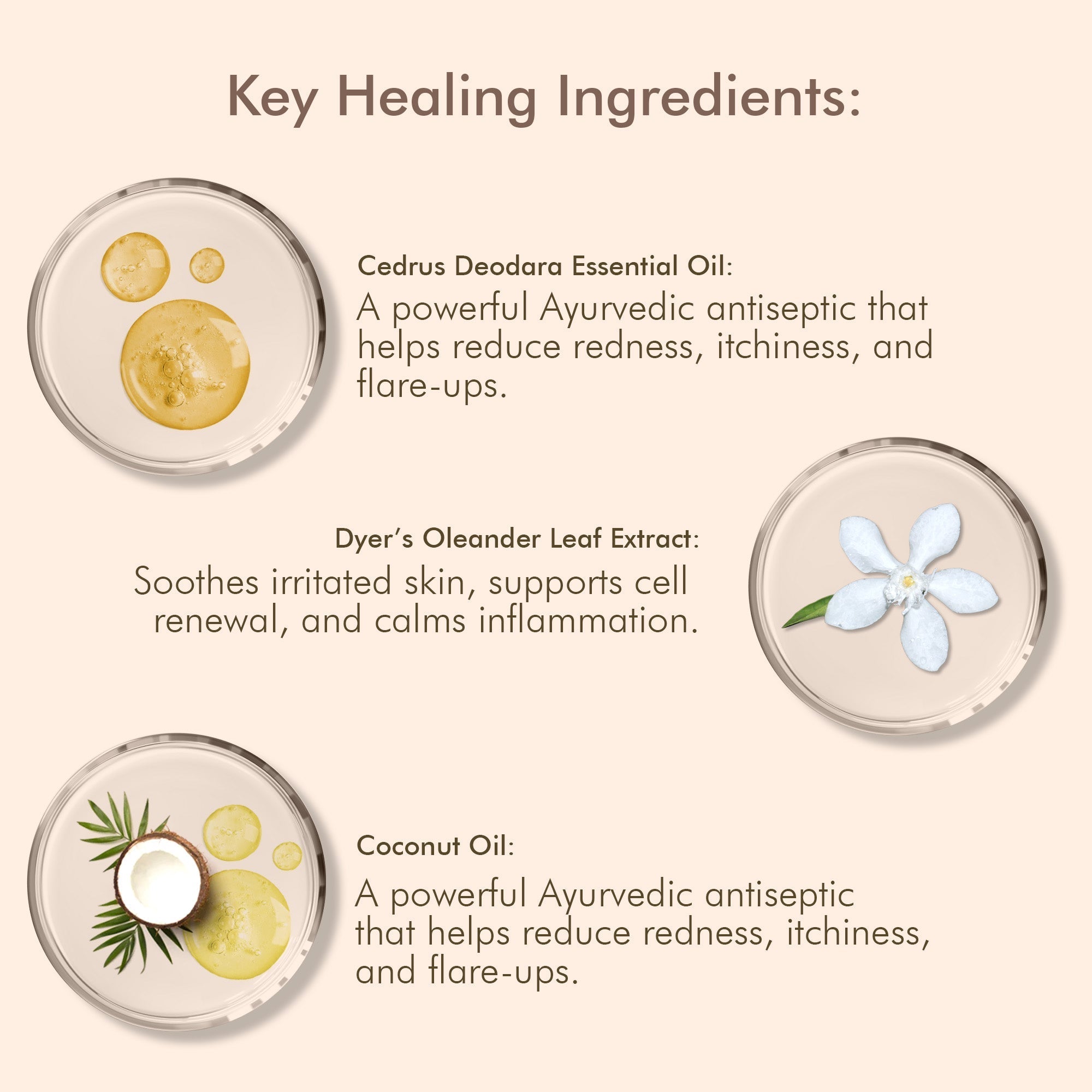 VedicDerm Oleander's Oil for Psoriasis, Eczema, and Atopic Dermatitis | Grocsy