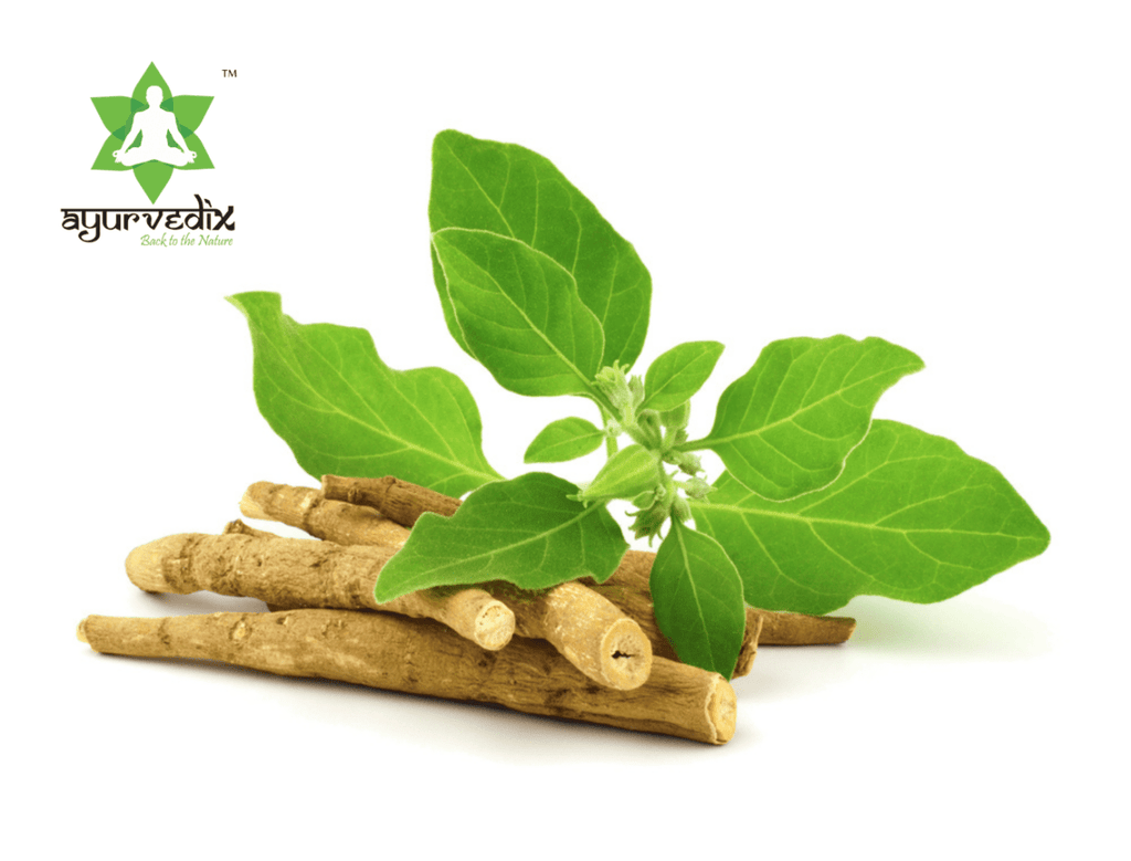Ayurvedix Organic Ashwagandha Powder | Grocsy
