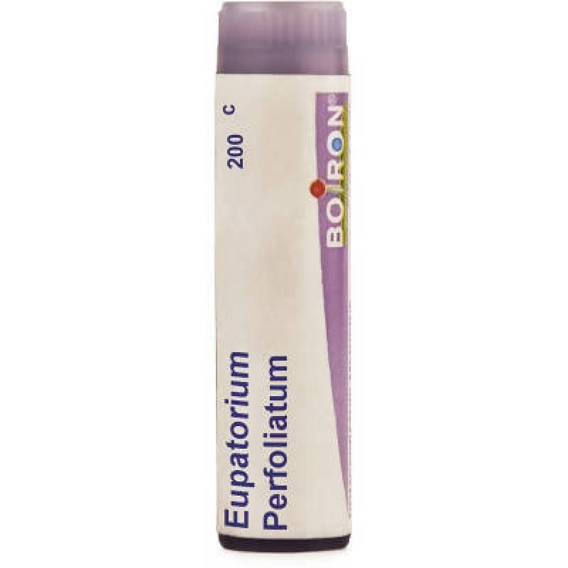 Boiron Homeopathy Eupatorium Perfoliatum | Grocsy