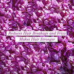 Meera Enrich Conditioner with Saffron For Strong & Anti-Frizz | Grocsy