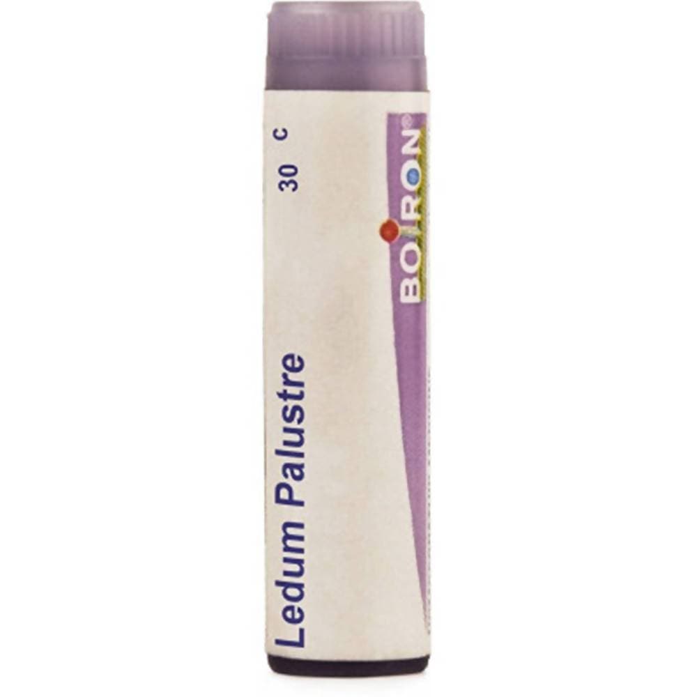Boiron Homeopathy Ledium Palustre | Grocsy