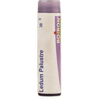 Boiron Homeopathy Ledium Palustre | Grocsy