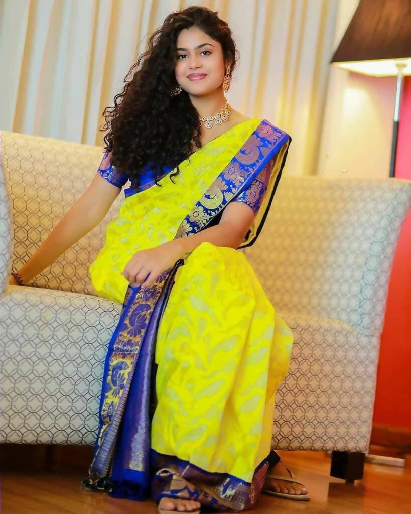 DEIANA'S Beautiful Designer Golden zari Soft Lichi Silk Saree - Yellow | Grocsy