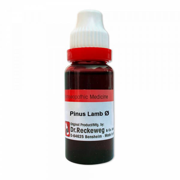 Dr. Reckeweg Pinus Lamb Mother Tincture Q | Grocsy
