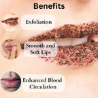 Dermistry Nourishing Cocoa Butter Lip Balm & Coffee Lip Scrub | Grocsy