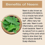 Bodyherbals Neem Wood Wide Tooth Dressing Comb | Grocsy