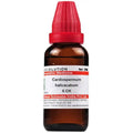 Dr. Willmar Schwabe India Cardiospermum Helicacabum Dilution | Grocsy