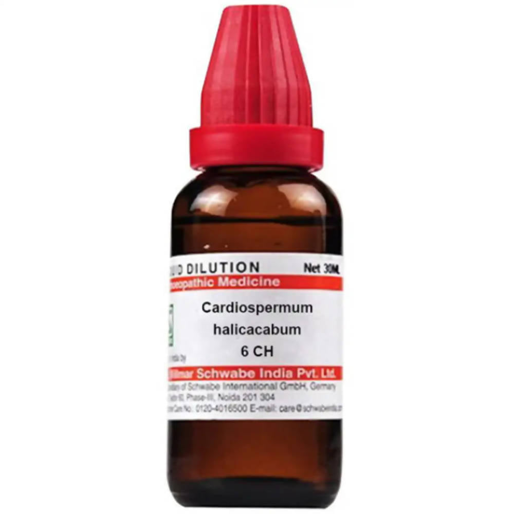 Dr. Willmar Schwabe India Cardiospermum Helicacabum Dilution | Grocsy