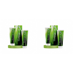 Bio Resurge Life Herbal Ayurvedic Spearmint Toothpaste | Grocsy