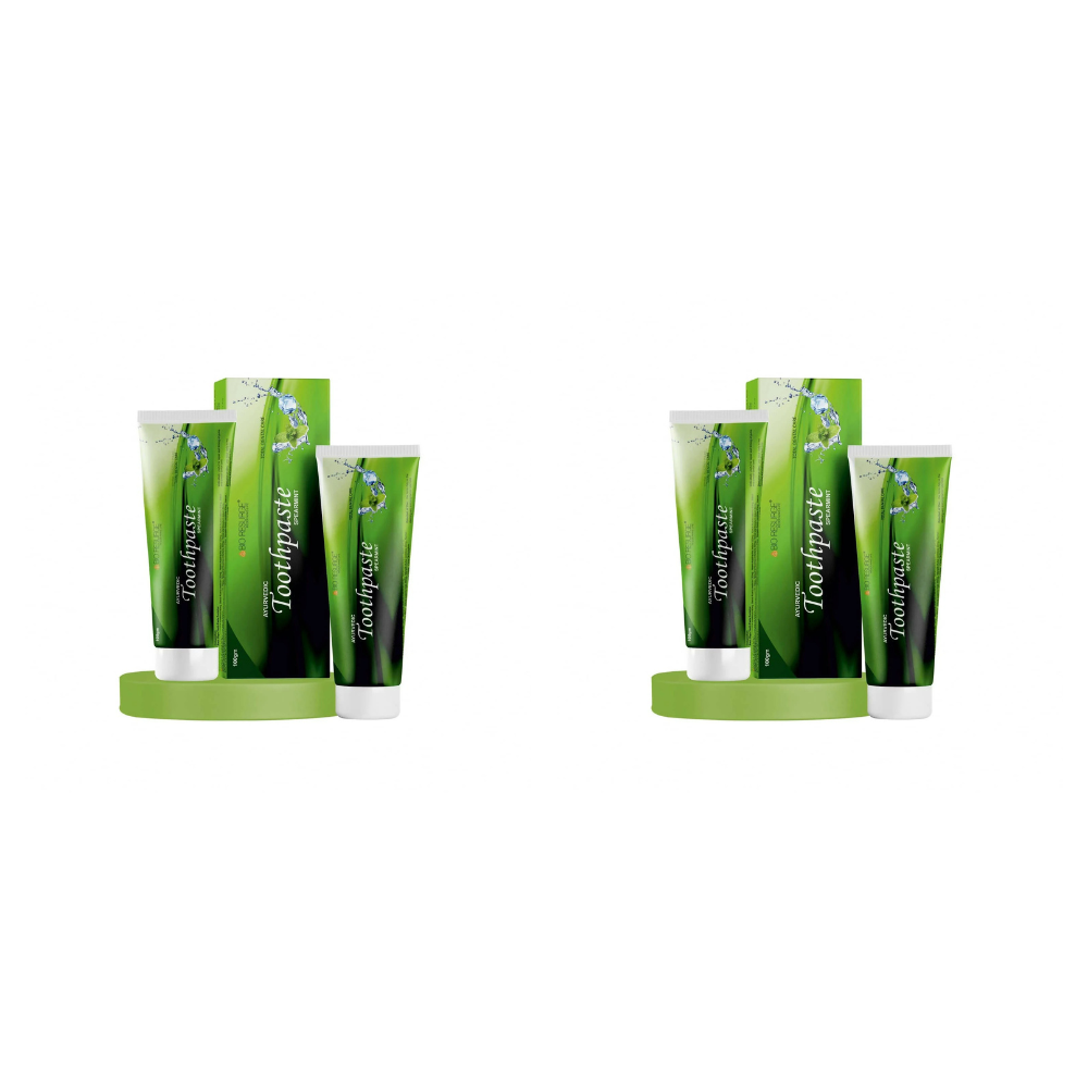 Bio Resurge Life Herbal Ayurvedic Spearmint Toothpaste | Grocsy