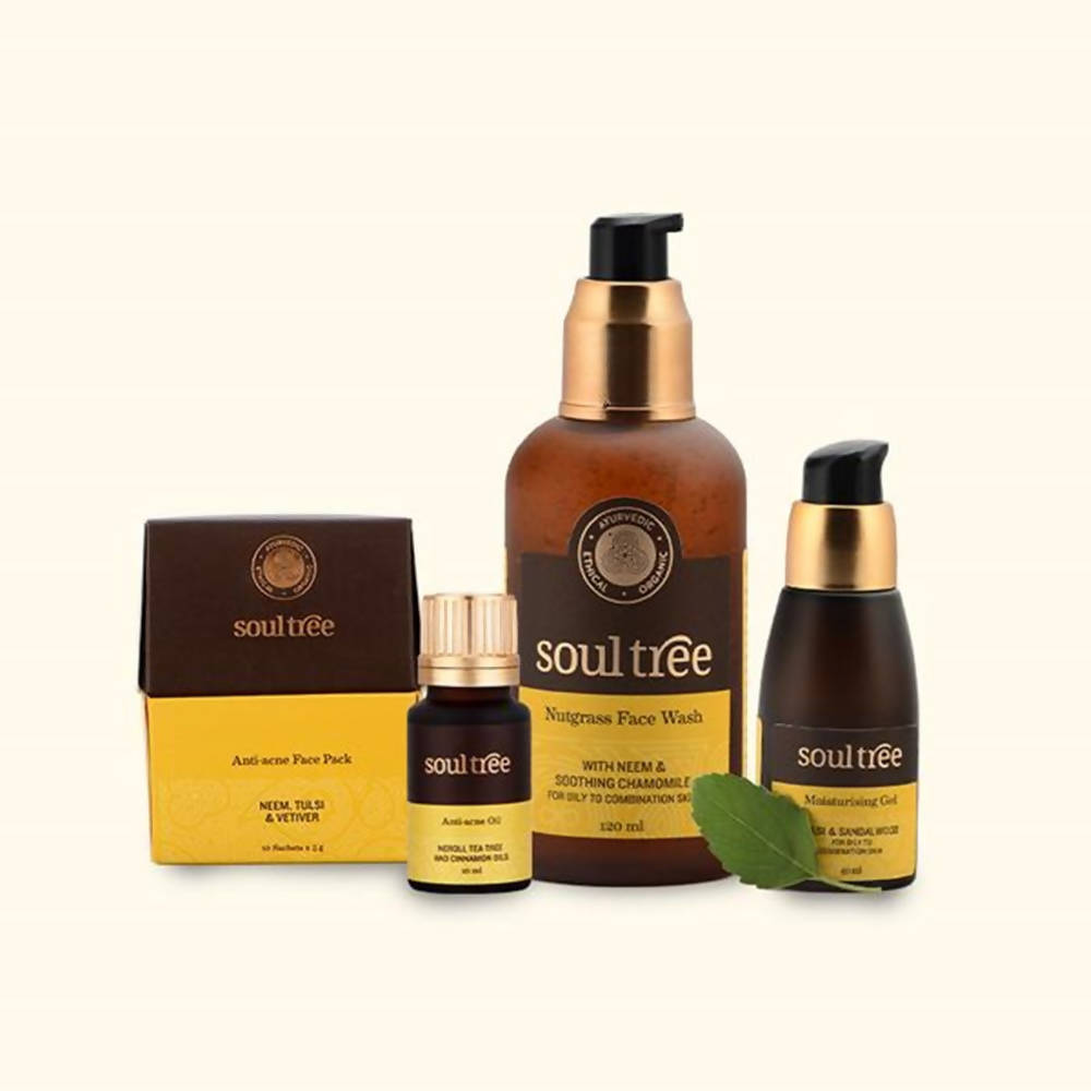 Soultree Anti-Acne Regimen | Grocsy