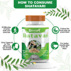 Divya Shree Shatavari Capsules | Grocsy