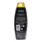 Palmolive Luminous Oil Argan Oil & Camelia Shampoo | Grocsy