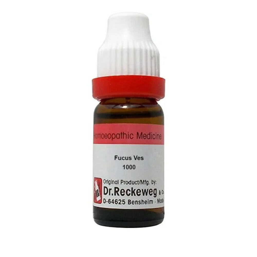 Dr. Reckeweg Fucus Ves Dilution | Grocsy