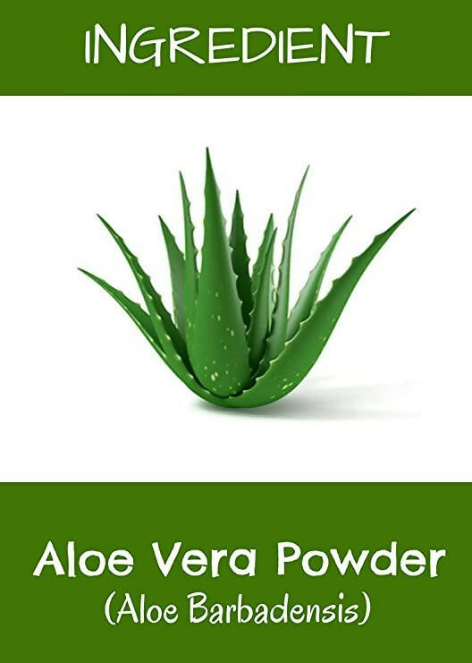 MR Ayurveda Aloe Vera Powder | Grocsy