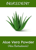 MR Ayurveda Aloe Vera Powder | Grocsy