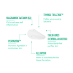 Acne Squad Serum for Active Acne with Thymol T Essence | Grocsy