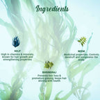 Biotique Ocean Kelp Anti Hair Fall Shampoo | Grocsy