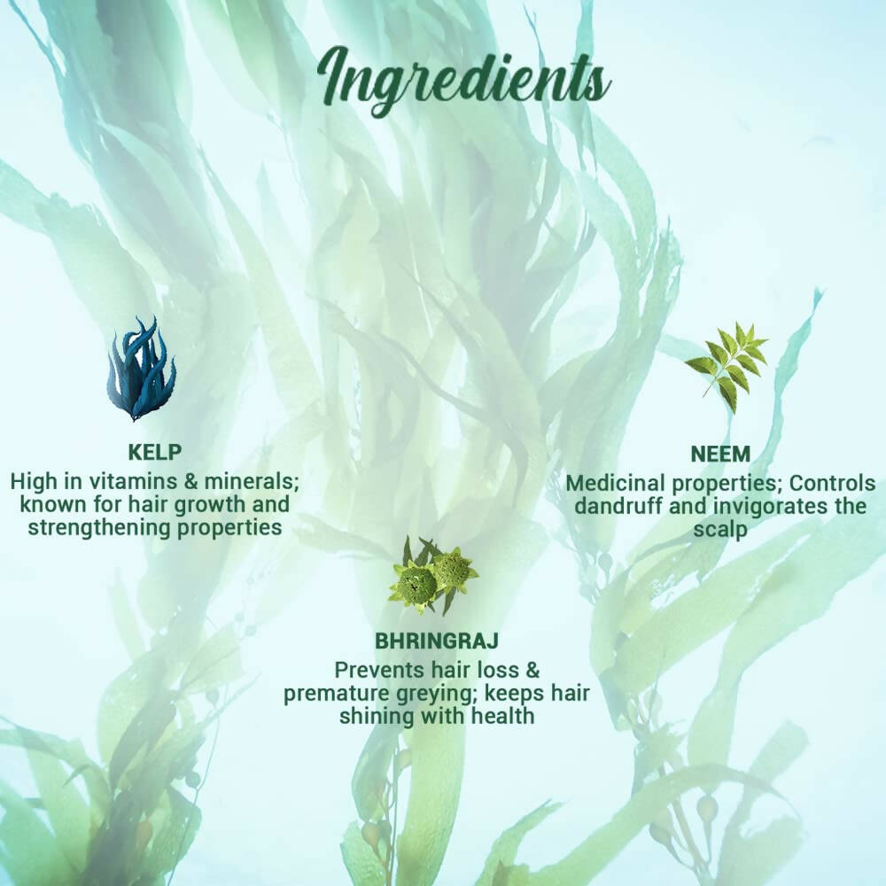 Biotique Ocean Kelp Anti Hair Fall Shampoo | Grocsy