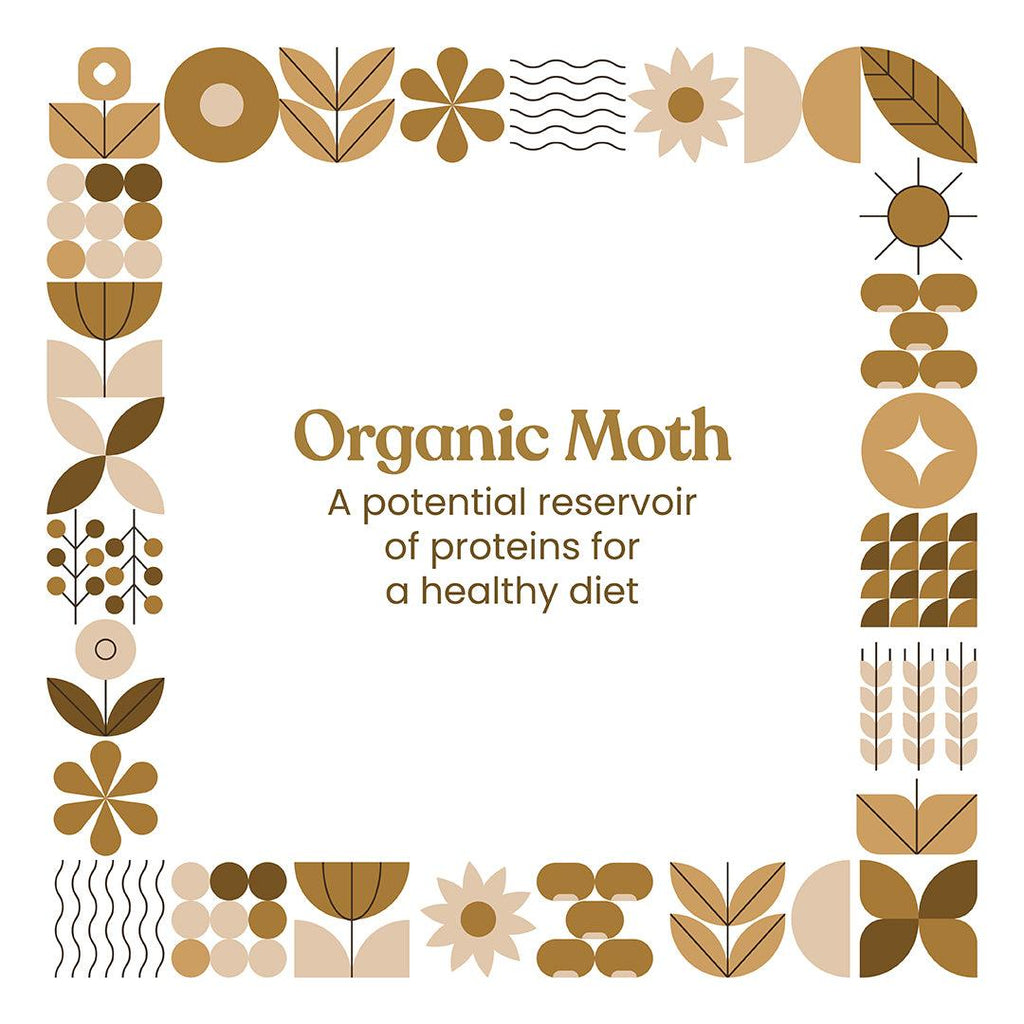 Bharat Vedica Organic Moth | Grocsy