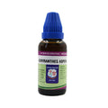 Father Muller Achyranthes Aspera Mother Tincture Q | Grocsy
