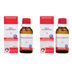 Bjain Homeopathy Thuja Occidentalis Dilution | Grocsy