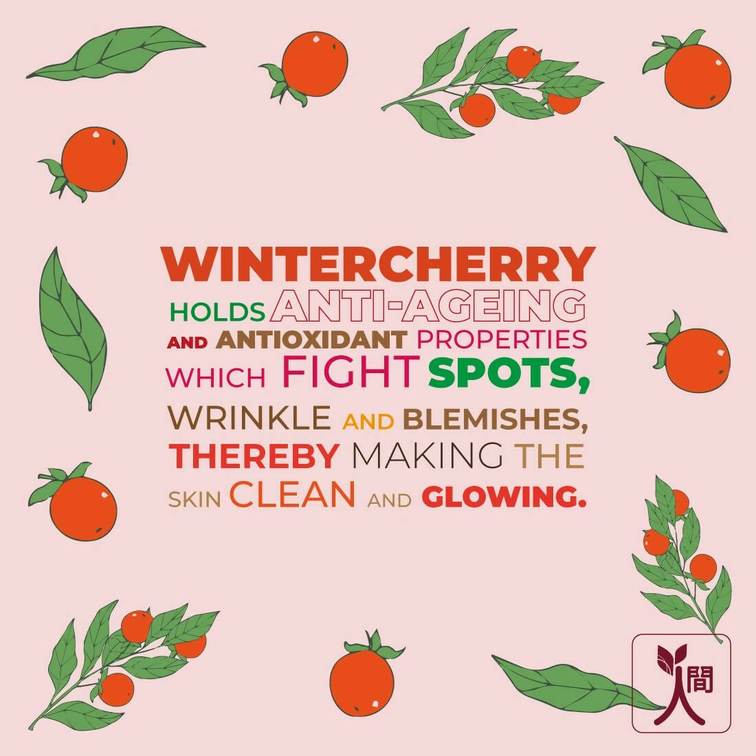Ningen Winter Cherry Cold Cream | Grocsy