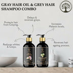 Ivory Natural Grey Combo For Hair - Natural Solution For Greys, Restore Natural Black And Shine Of Hair | Grocsy