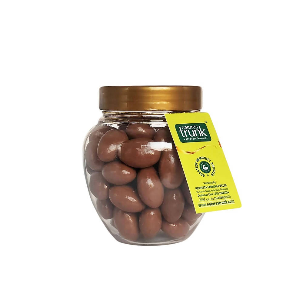 Nature's Trunk Raisins Choco | Grocsy