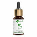 Naturalis Essence of Nature Camphor Essential Oil | Grocsy
