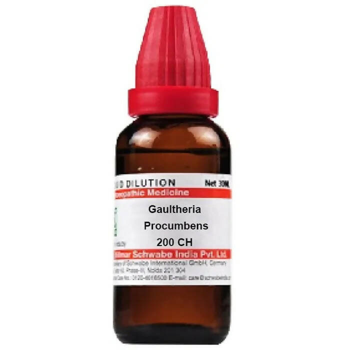 Dr. Willmar Schwabe India Gaultheria Procumbens Dilution | Grocsy