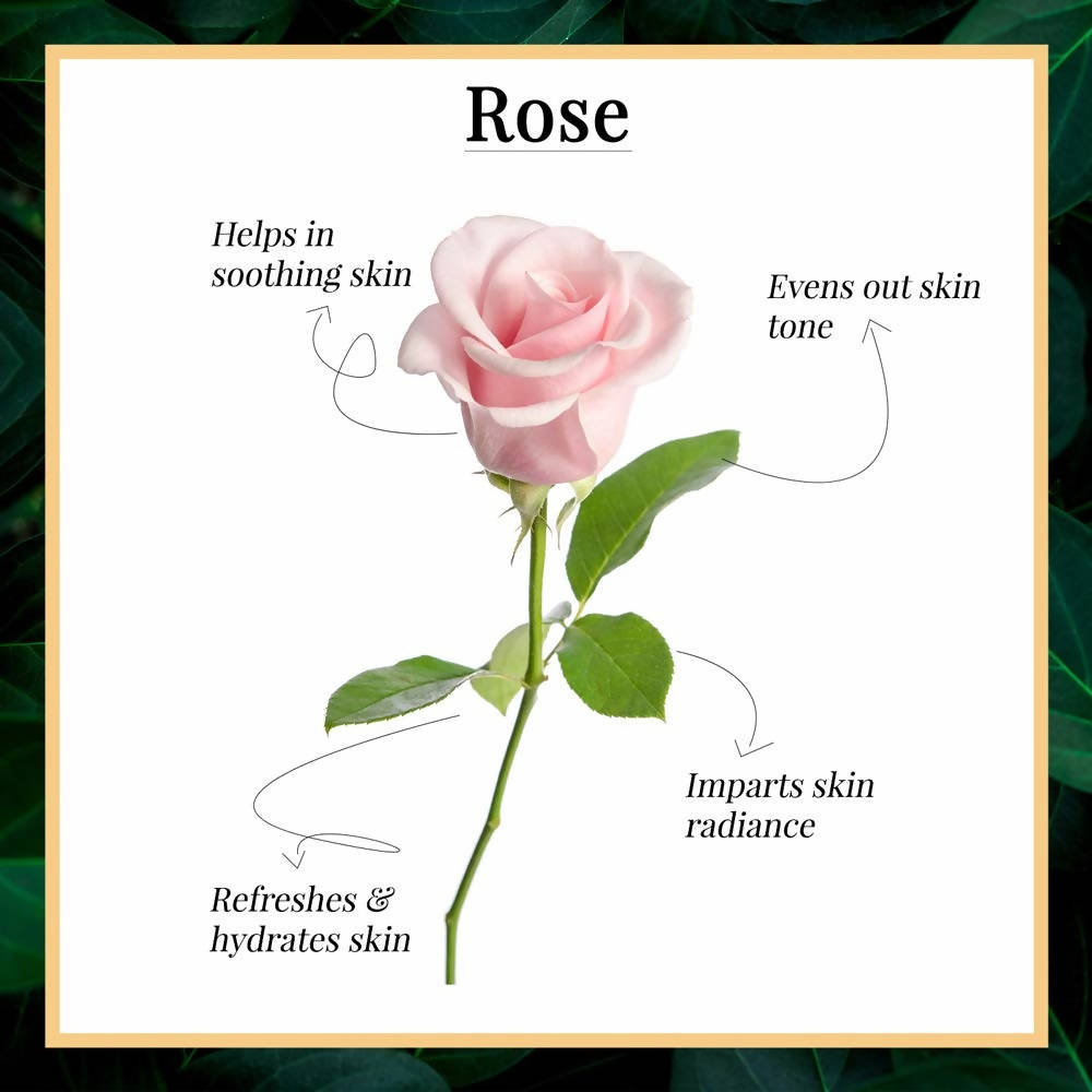 Good Vibes Rose Glow Toner | Grocsy