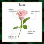 Good Vibes Rose Glow Toner | Grocsy