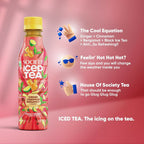 Society Ice Tea Bottle Assorted | Grocsy