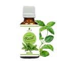 Oilcure Basil Essential Oil | Grocsy