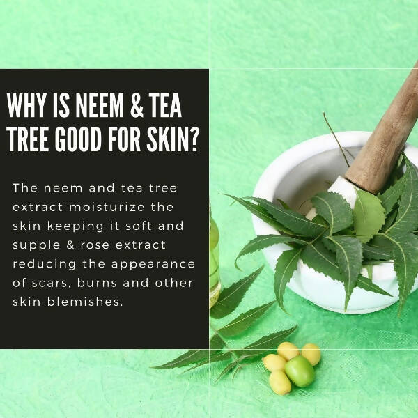 Organicos Neem & Tea Tree Face Cleanser | Grocsy