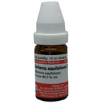 Dr. Willmar Schwabe Germany Berberis Aquifolium Dilution | Grocsy
