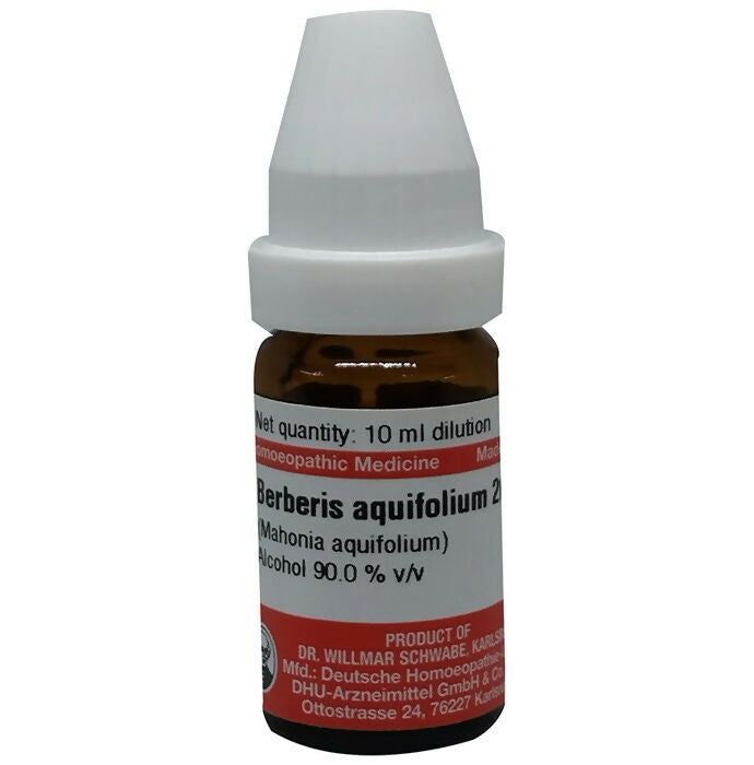 Dr. Willmar Schwabe Germany Berberis Aquifolium Dilution | Grocsy