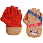 Virlok Foam Wicket keeping Gloves (Multi-Colour) | Grocsy