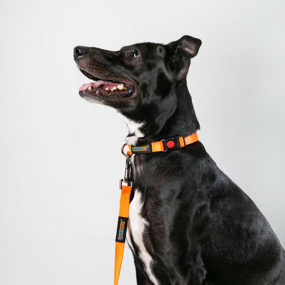 Waggety Dog Leash - Durable Orange Polyester, Length - 5Ft, Comfortable Grip, Stylish Pet Leash for Dogs | Grocsy